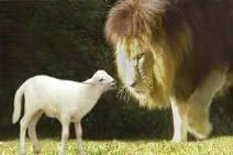 lion and lamb Pictures, Images and Photos