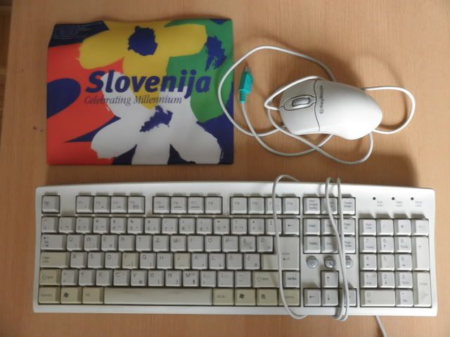 Slika