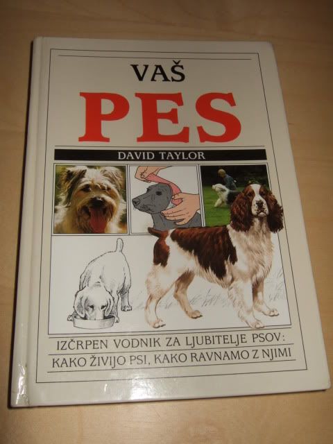 Slika