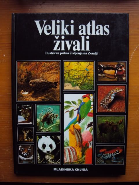 Slika