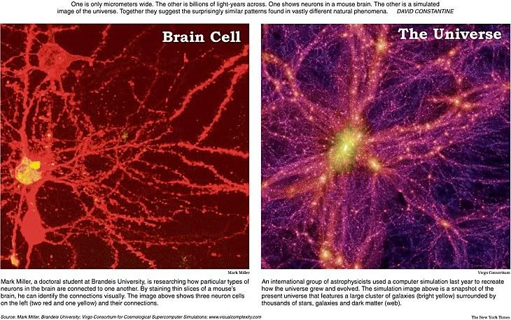 universe and brain