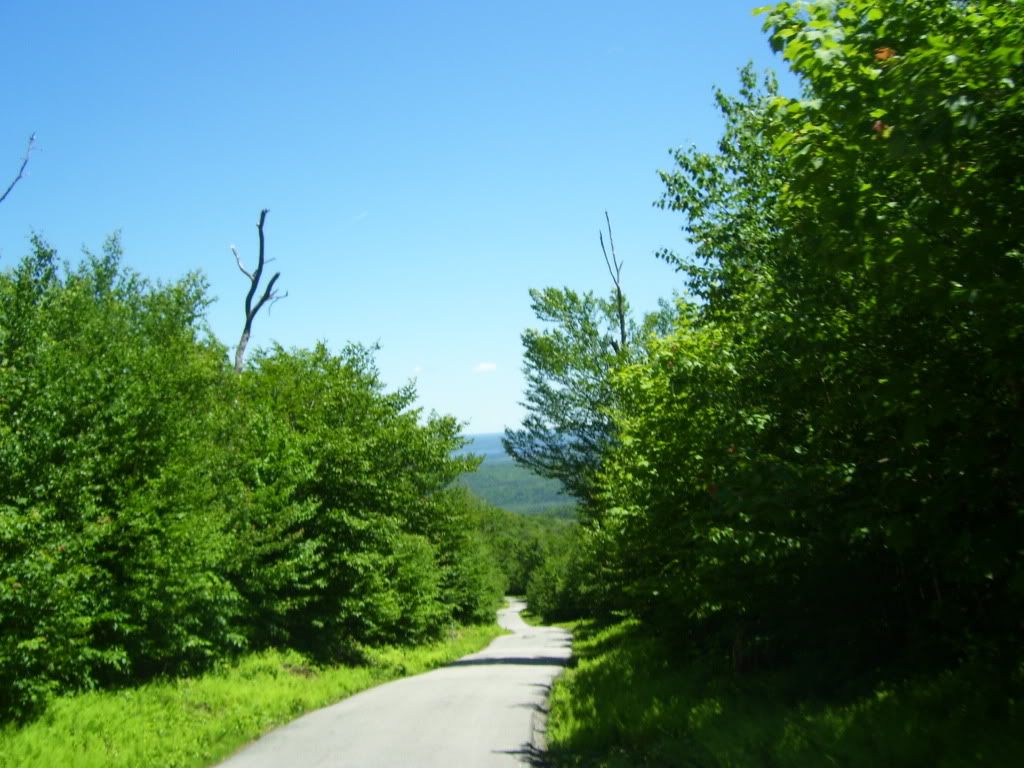 Posted Image