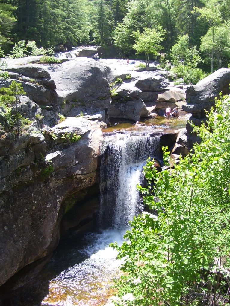 Posted Image