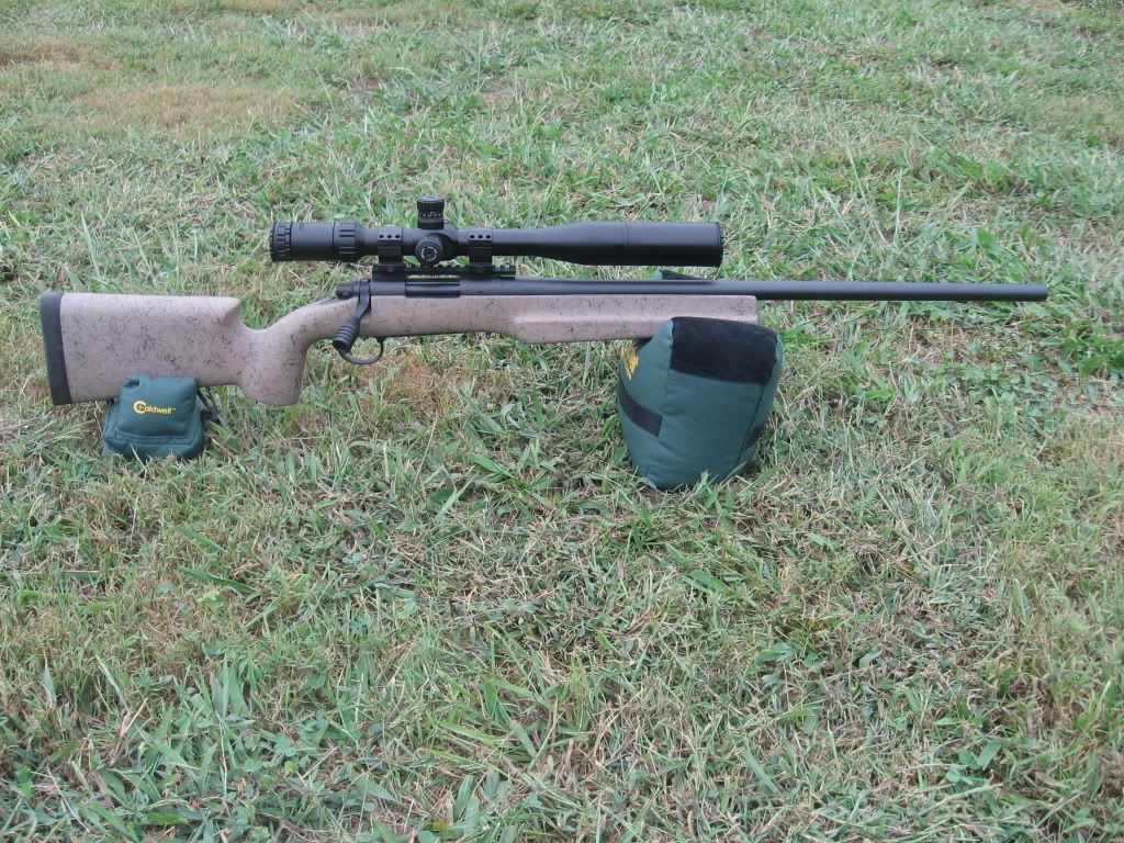 Davidsgunandtargets002.jpg