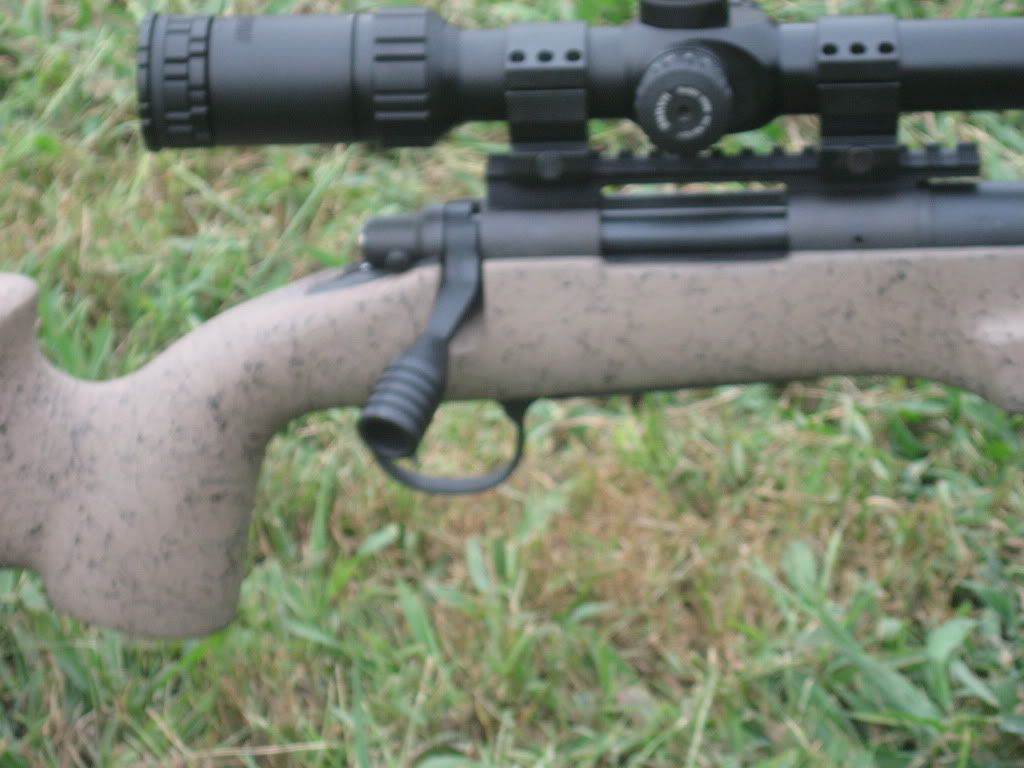 Davidsgunandtargets003.jpg