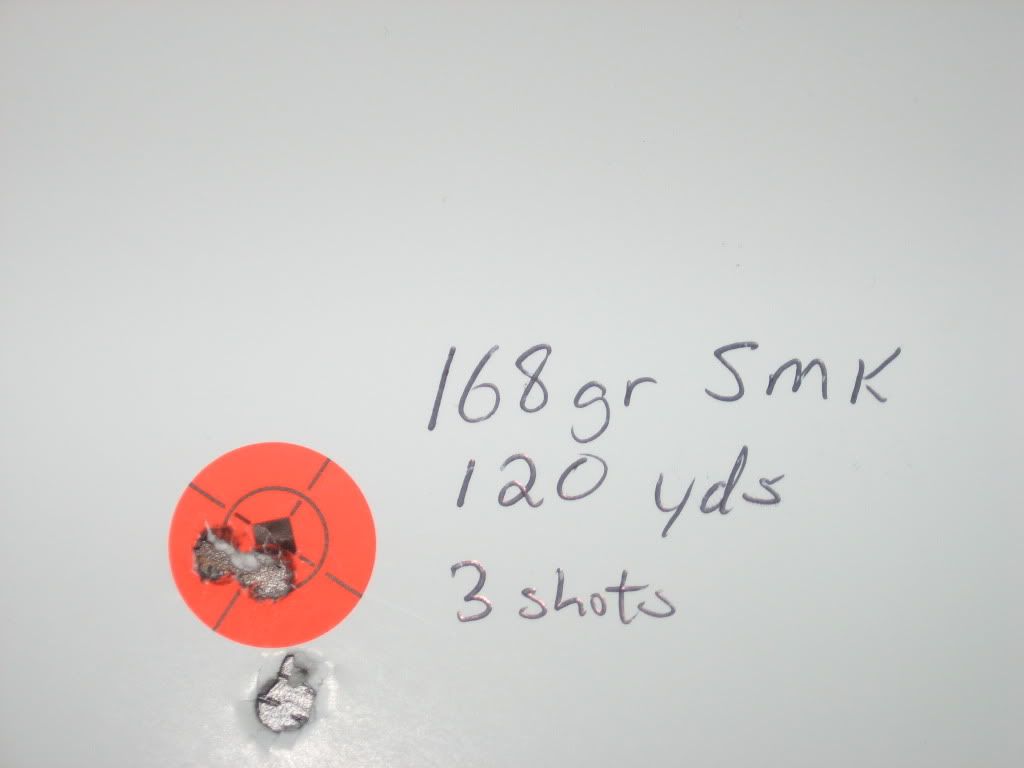 Davidsgunandtargets005.jpg