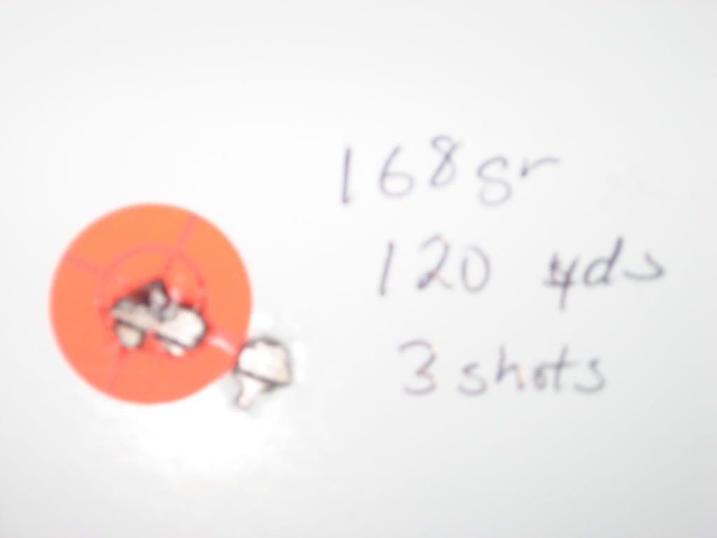 Davidsgunandtargets007.jpg
