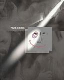 PULA FILM FESTIVAL - PLAKATI