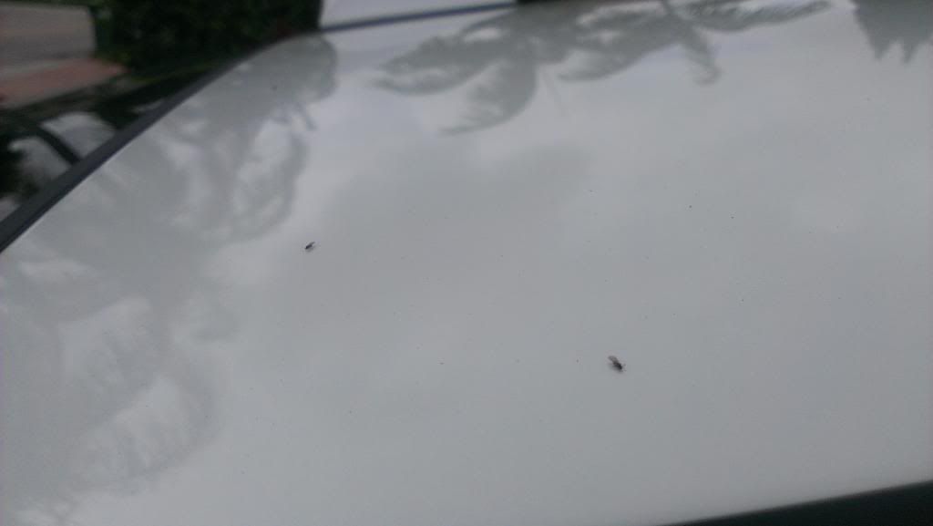 IMAG0218_zps4a1724e5.jpg