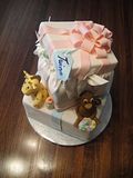 monkey,giraffe,twins,present cake,gift box cake