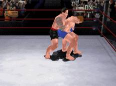 StallingGermanSuplexPin.gif