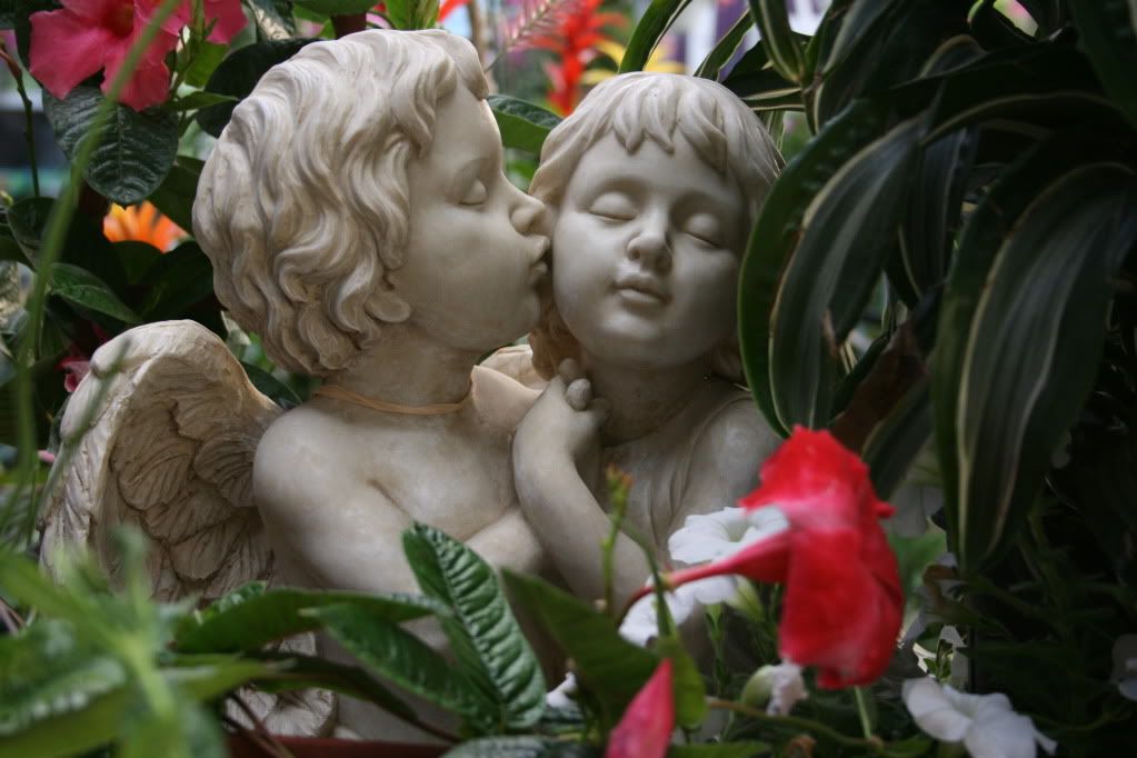 kissing cherubs Pictures, Images and Photos