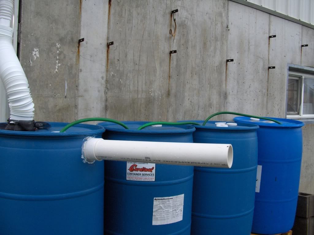 Finally some pix of my rain barrels..... - Homesteading Questions