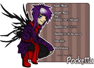 User Image