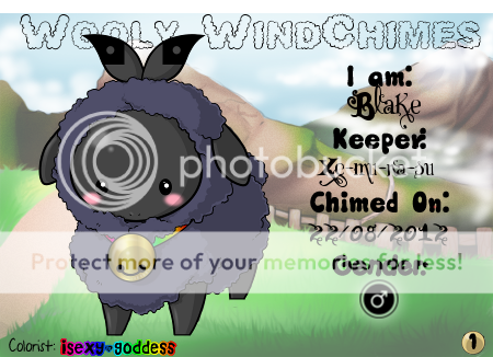 User Image