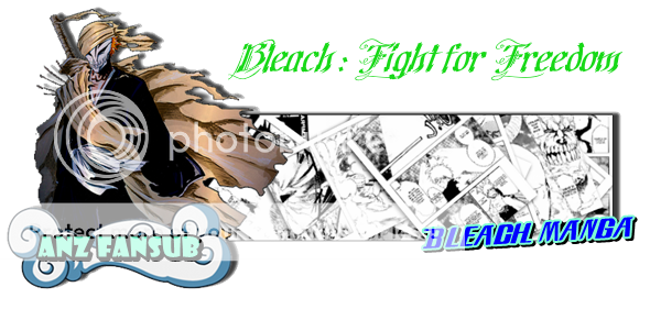 bleach fight for freedom banner